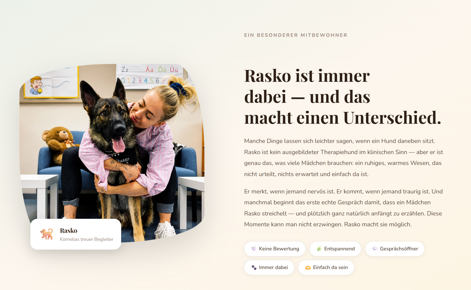 Therapiehund Rasko