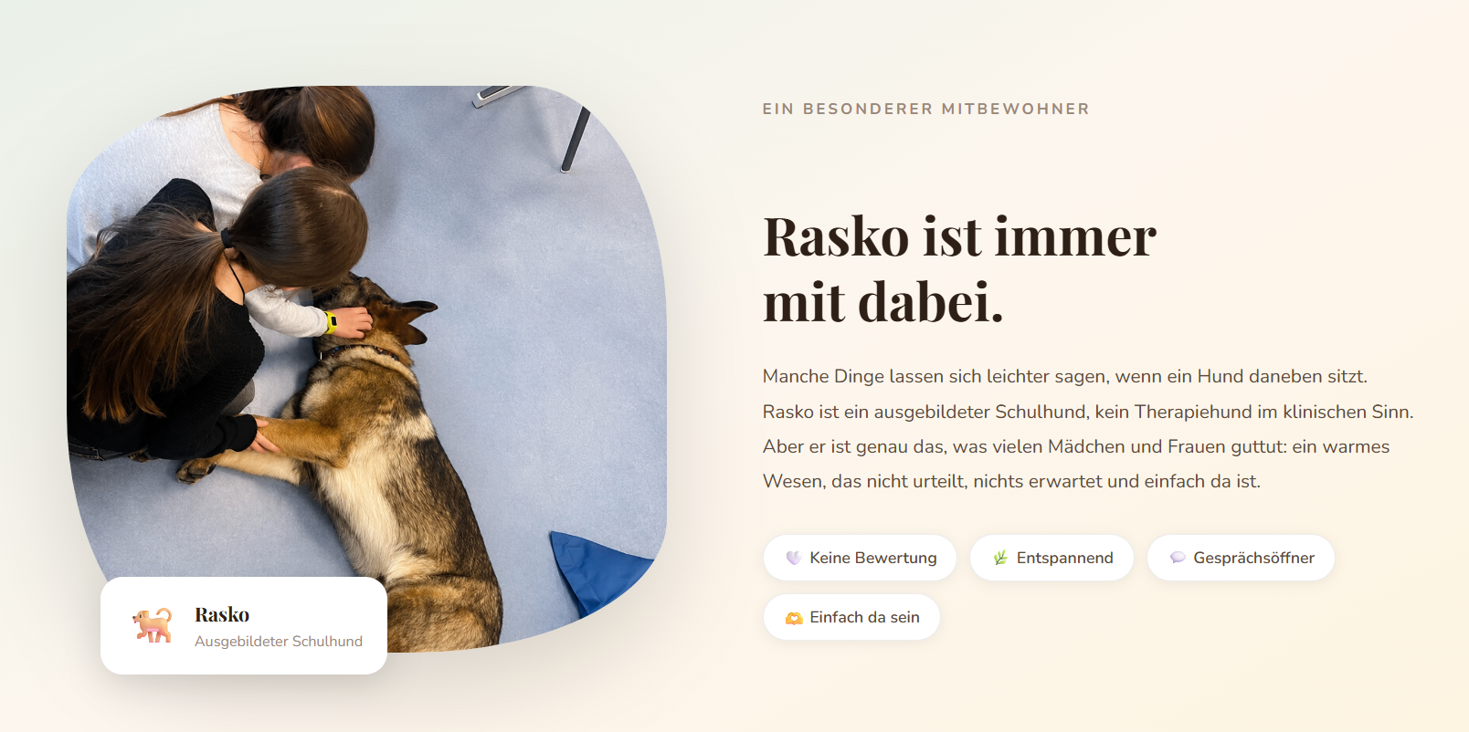 Schulhund Rasko